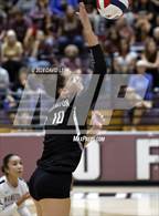 Photo from the gallery "Corona del Sol @ Hamilton"