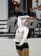 Photo from the gallery "Corona del Sol @ Hamilton"