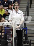 Photo from the gallery "Corona del Sol @ Hamilton"