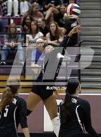 Photo from the gallery "Corona del Sol @ Hamilton"