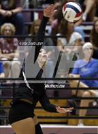 Photo from the gallery "Corona del Sol @ Hamilton"