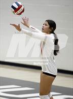 Photo from the gallery "Corona del Sol @ Hamilton"