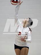 Photo from the gallery "Corona del Sol @ Hamilton"