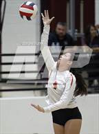 Photo from the gallery "Corona del Sol @ Hamilton"