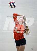 Photo from the gallery "Corona del Sol @ Hamilton"