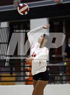 Photo from the gallery "Corona del Sol @ Hamilton"