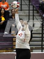 Photo from the gallery "Corona del Sol @ Hamilton"