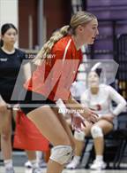 Photo from the gallery "Corona del Sol @ Hamilton"