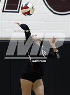 Photo from the gallery "Corona del Sol @ Hamilton"