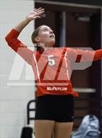 Photo from the gallery "Corona del Sol @ Hamilton"