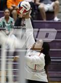 Photo from the gallery "Corona del Sol @ Hamilton"