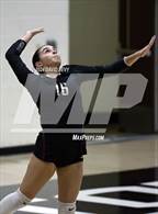 Photo from the gallery "Corona del Sol @ Hamilton"