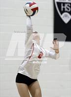 Photo from the gallery "Corona del Sol @ Hamilton"