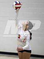 Photo from the gallery "Corona del Sol @ Hamilton"