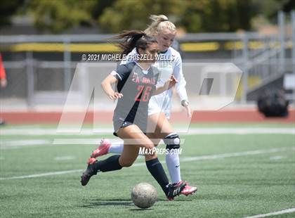 Thumbnail 1 in Sage Creek vs. La Jolla  photogallery.