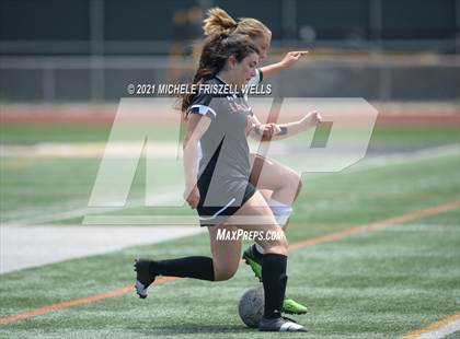 Thumbnail 1 in Sage Creek vs. La Jolla  photogallery.