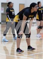 Photo from the gallery "Maryvale @ Dysart"