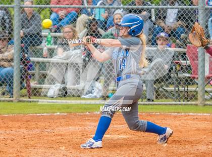 Thumbnail 3 in Red Bank @ Tellico Plains photogallery.