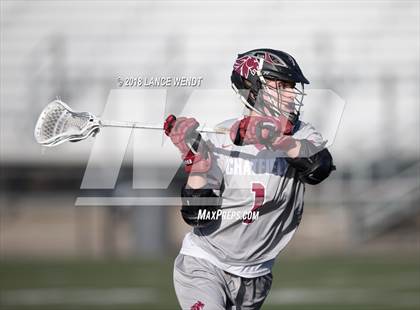 Thumbnail 3 in Lewis-Palmer @ Chatfield photogallery.