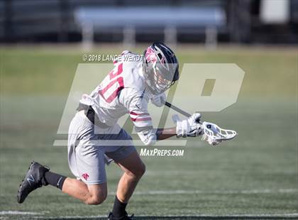 Thumbnail 1 in Lewis-Palmer @ Chatfield photogallery.