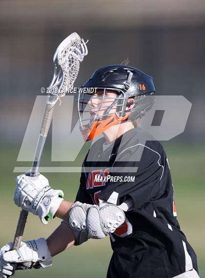 Thumbnail 3 in Lewis-Palmer @ Chatfield photogallery.