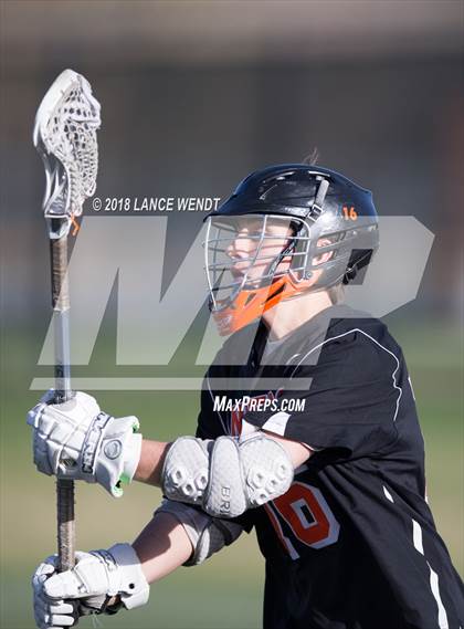 Thumbnail 2 in Lewis-Palmer @ Chatfield photogallery.