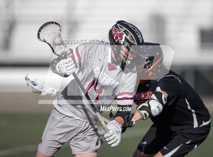 Thumbnail 3 in Lewis-Palmer @ Chatfield photogallery.