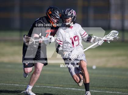 Thumbnail 3 in Lewis-Palmer @ Chatfield photogallery.