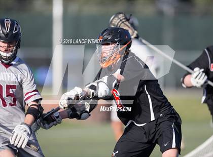 Thumbnail 2 in Lewis-Palmer @ Chatfield photogallery.