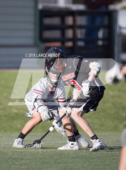 Thumbnail 1 in Lewis-Palmer @ Chatfield photogallery.
