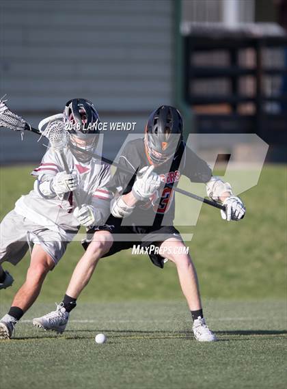 Thumbnail 3 in Lewis-Palmer @ Chatfield photogallery.