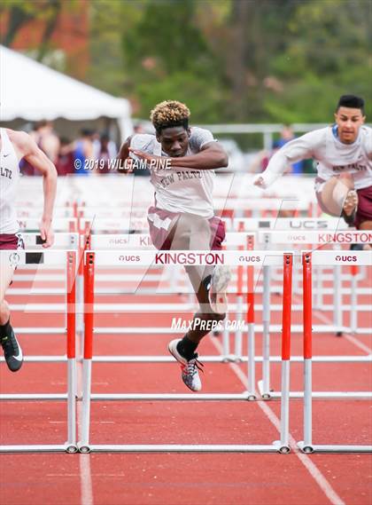 Thumbnail 2 in Kingston Tiger Relays  (Boys Afternoon Events) photogallery.