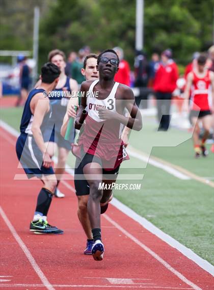 Thumbnail 2 in Kingston Tiger Relays  (Boys Afternoon Events) photogallery.