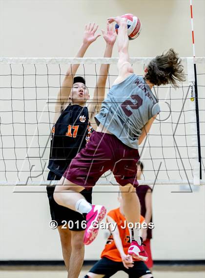 Thumbnail 3 in Roseville @ Whitney photogallery.