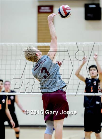 Thumbnail 1 in Roseville @ Whitney photogallery.