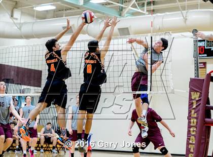 Thumbnail 3 in Roseville @ Whitney photogallery.