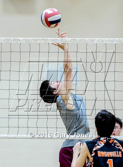 Thumbnail 3 in Roseville @ Whitney photogallery.