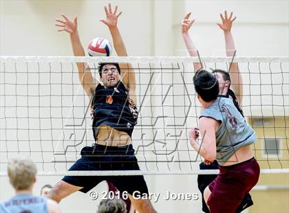 Thumbnail 3 in Roseville @ Whitney photogallery.
