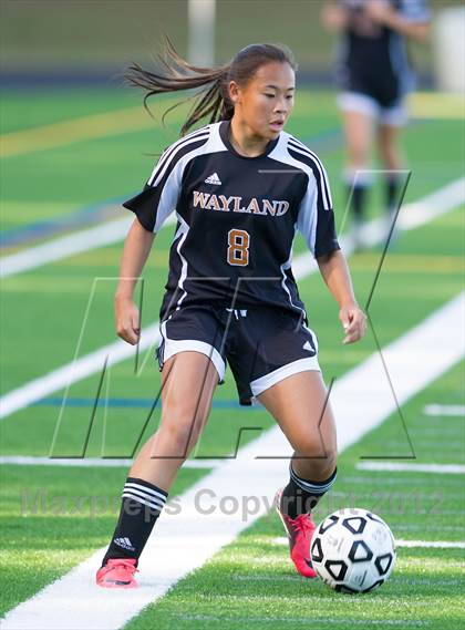 Thumbnail 3 in Wayland @ Westford Academy photogallery.
