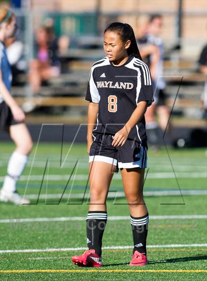 Thumbnail 1 in Wayland @ Westford Academy photogallery.