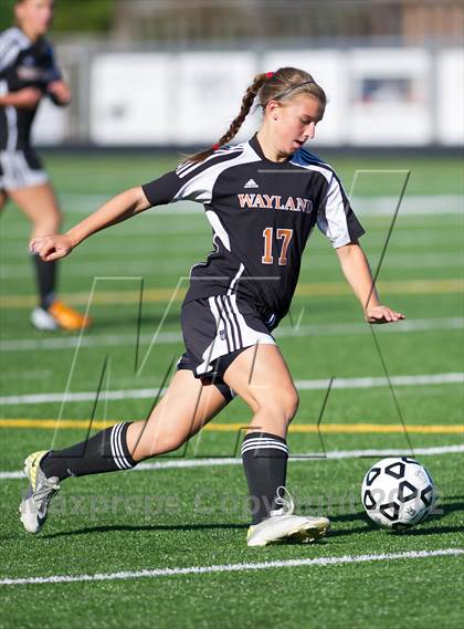 Thumbnail 1 in Wayland @ Westford Academy photogallery.