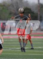 Photo from the gallery "Palmview @ Juarez-Lincoln"