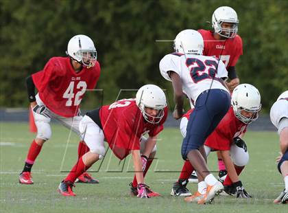 Thumbnail 1 in Boyd Red vs Clark photogallery.