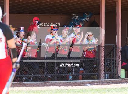 Thumbnail 2 in Franklin vs Northwestern (PIAA D10 AAA Semifinal) photogallery.