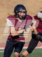 Photo from the gallery "Chico @ Whitney"