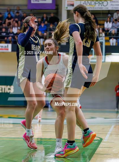 Thumbnail 1 in Randolph vs. Frewsburg (NYSPHSAA Section VI Class C Semi-Final) photogallery.
