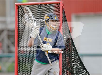 Thumbnail 2 in Wayne @ Palmyra-Macedon photogallery.