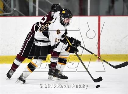Thumbnail 3 in North Haven @ Daniel Hand photogallery.