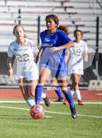 Photo from the gallery "Chandler vs. Williams Field (Coyote Classic Tournament)"