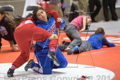 Thumbnail 1 in UIL State Girls Wrestling Championships (Finals) photogallery.